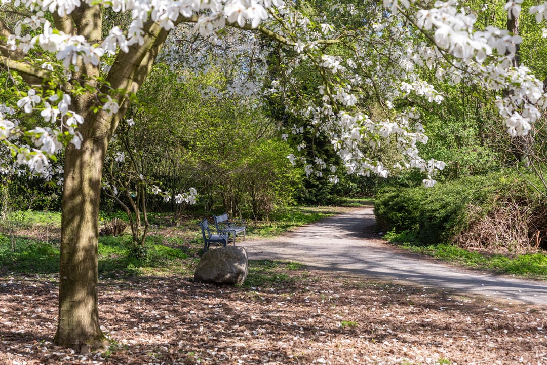 Foto 43 van Hermannus Elconiusstraat 23