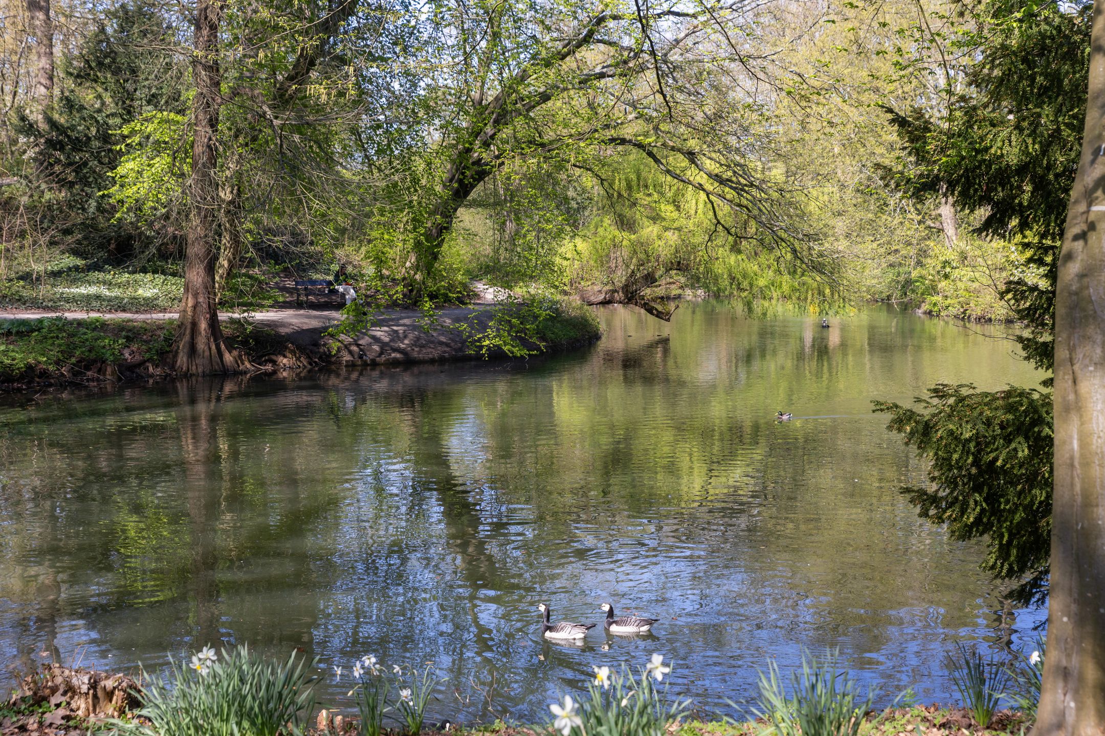 Foto 45 van Hermannus Elconiusstraat 23