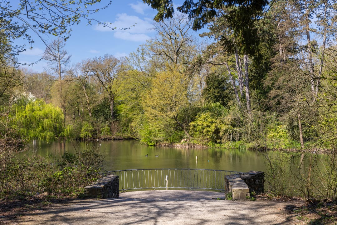 Foto 46 van Hermannus Elconiusstraat 23