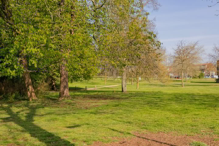 Foto 39 van Vareniusstraat 8