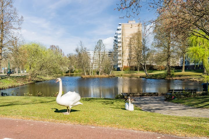 Photo 32 of Veenbesstraat 314