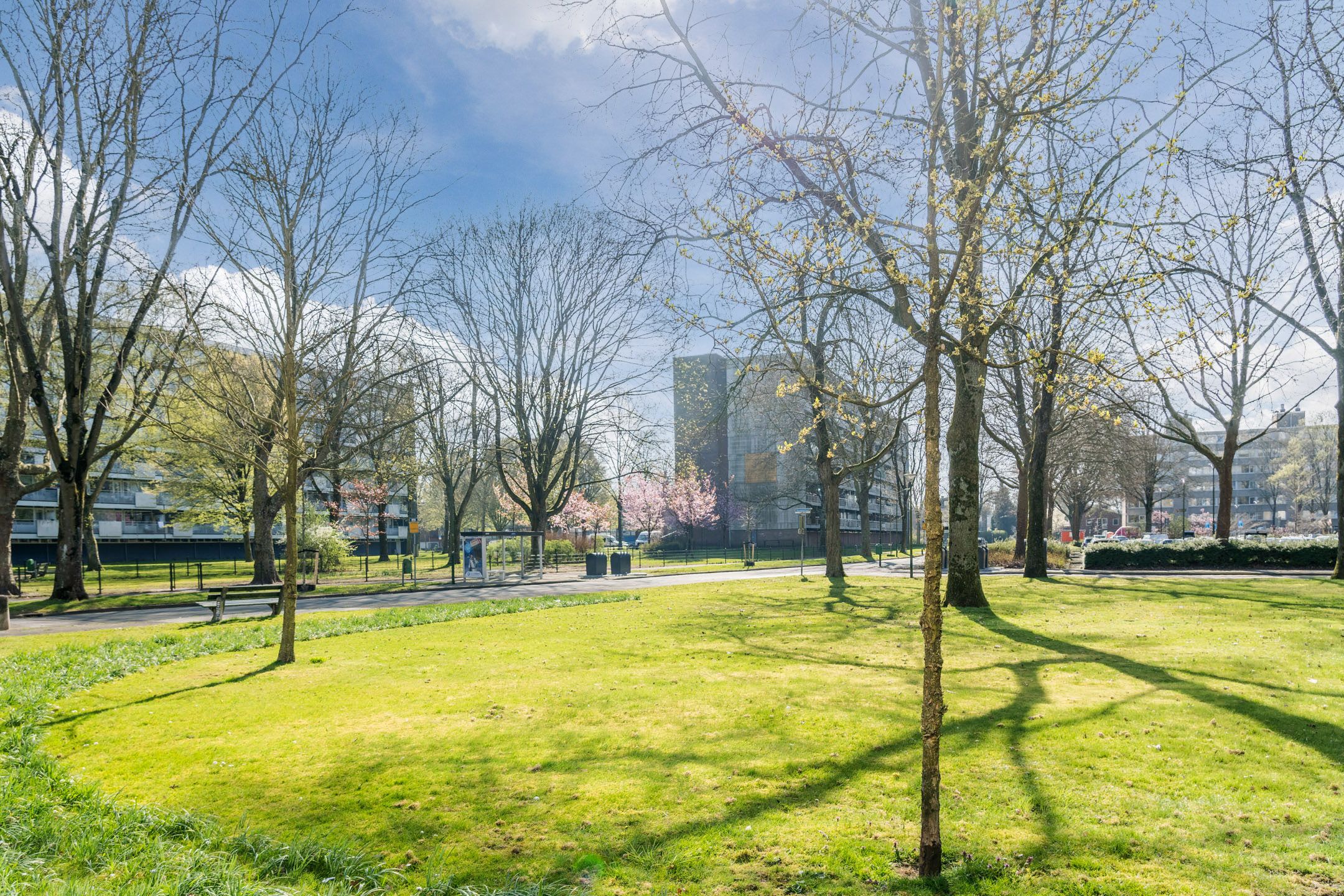 Photo 33 of Veenbesstraat 314