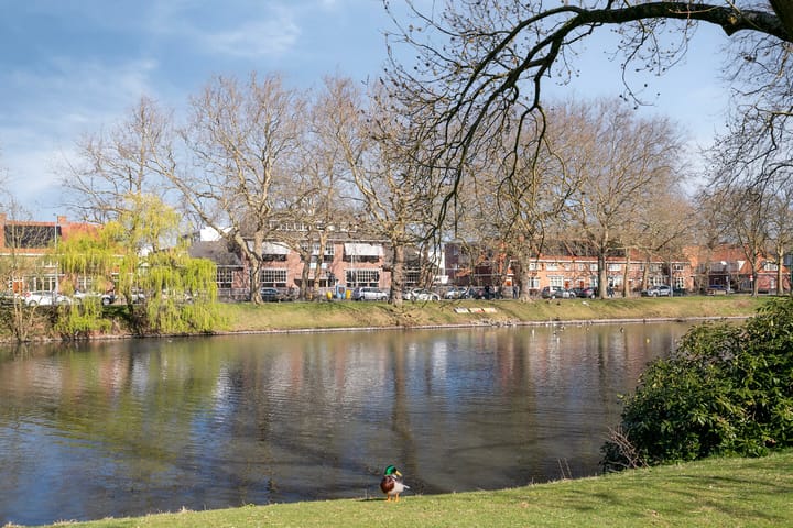 Foto 19 van Boschdijk 438-B