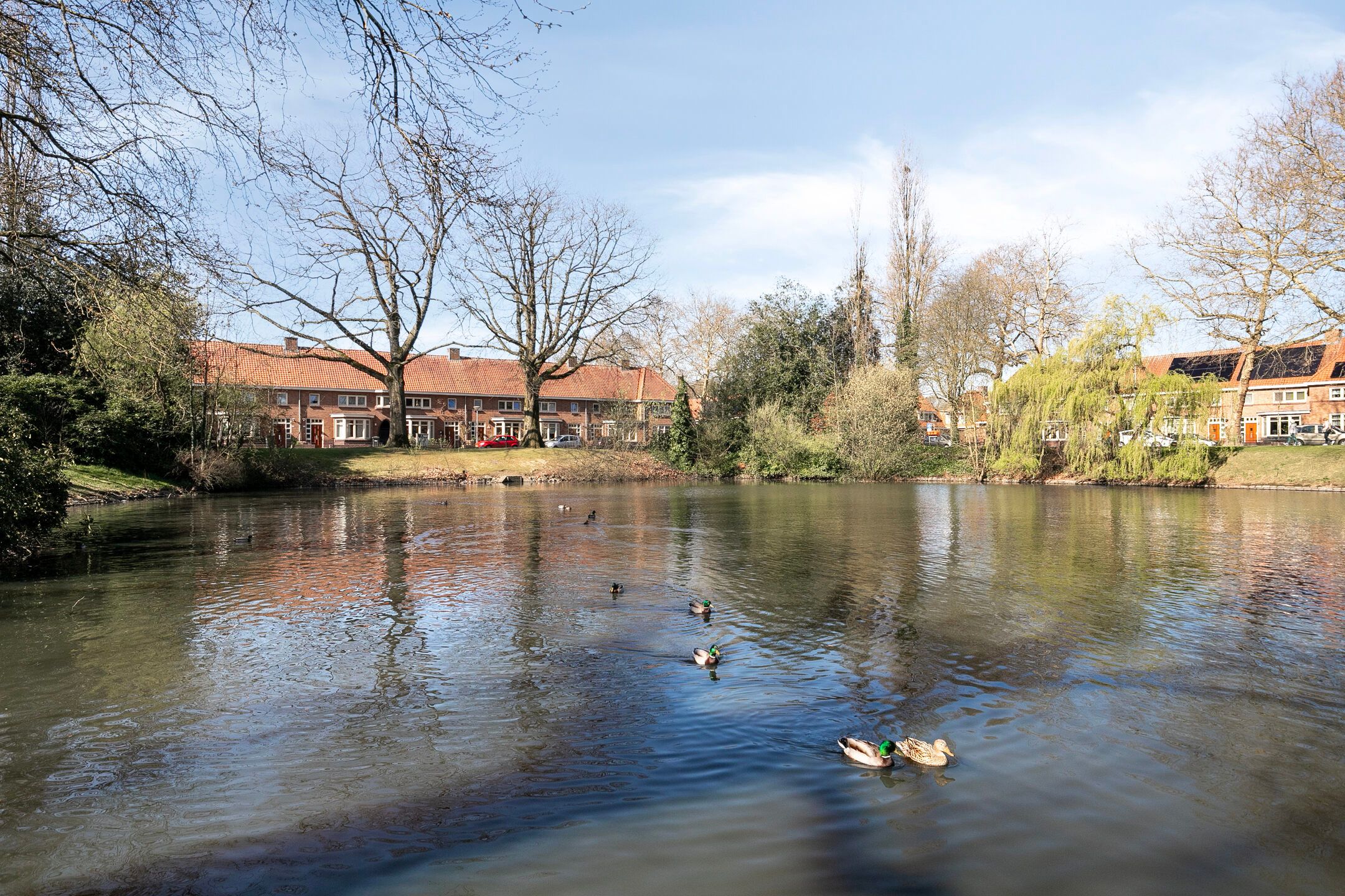 Foto 21 van Boschdijk 438-B