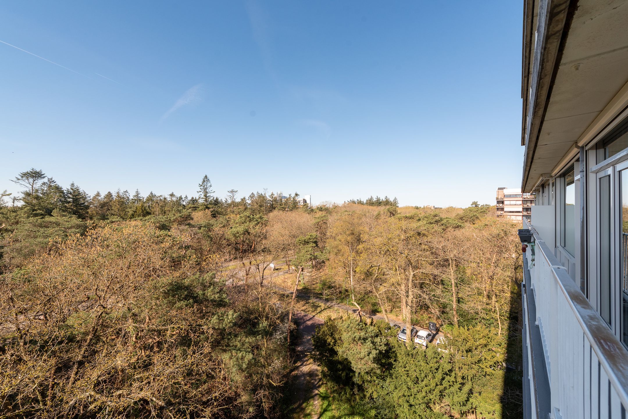 Foto 21 van Anna Paulownalaan 122