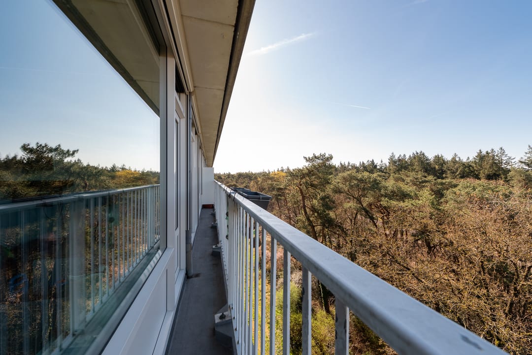 Foto 22 van Anna Paulownalaan 122