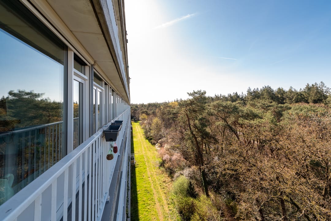 Foto 23 van Anna Paulownalaan 122