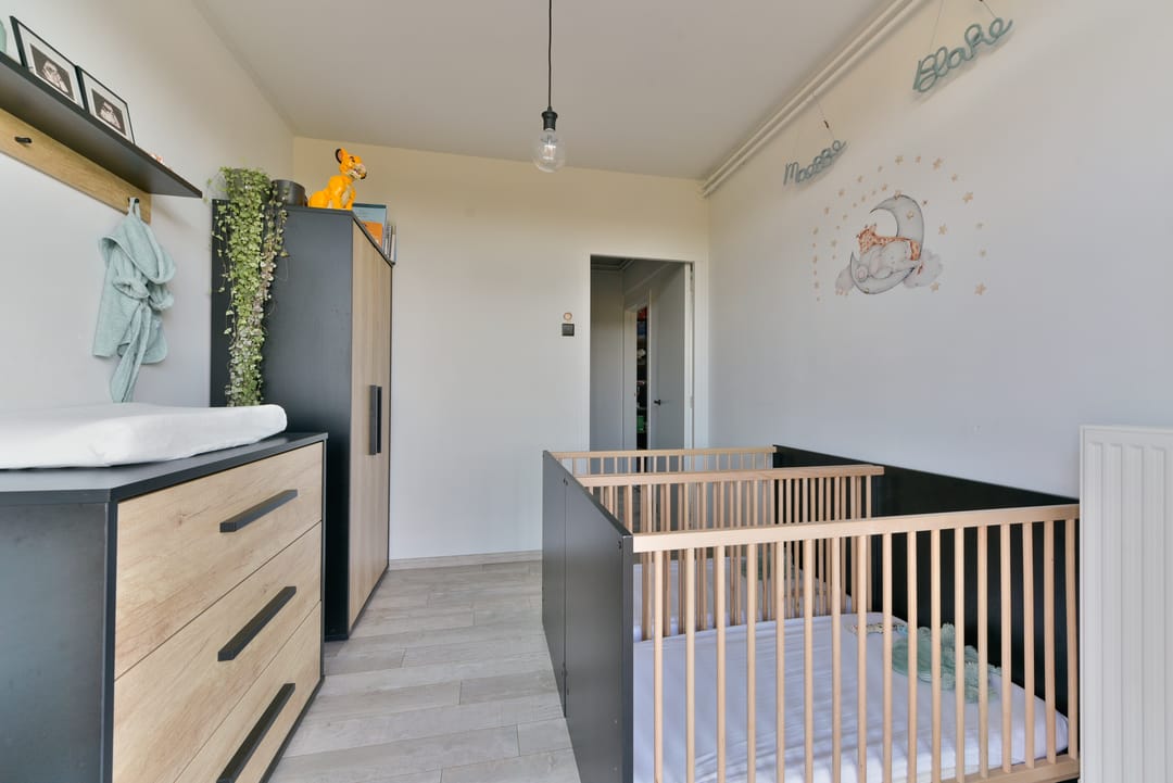 Foto 26 van Anna Paulownalaan 122