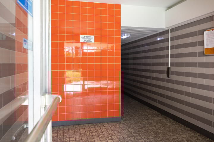 Foto 5 van Zangvogelweg 18