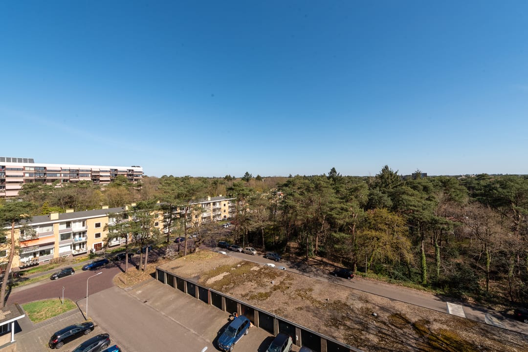 Foto 32 van Anna Paulownalaan 122