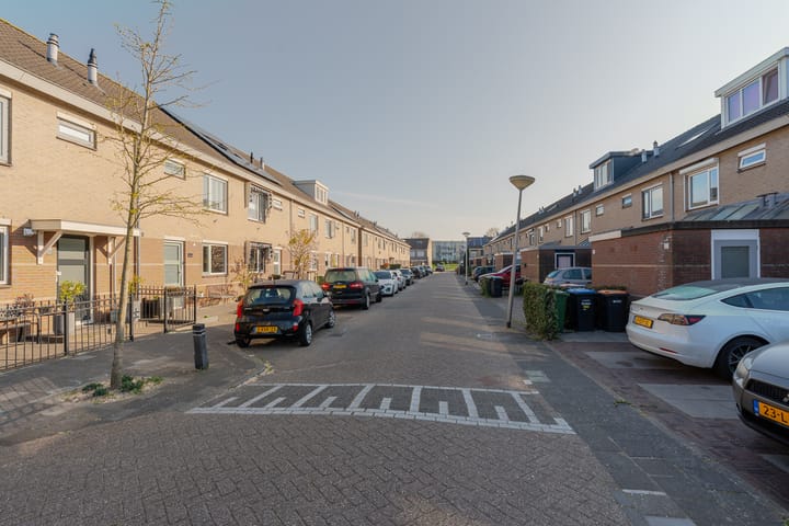 Foto 46 van Grote Boterbloem 26