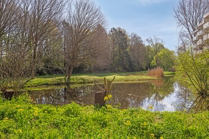 Foto 22 van Ter Weerlaan 172