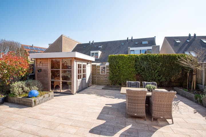 Foto 6 van Waterhoen 8