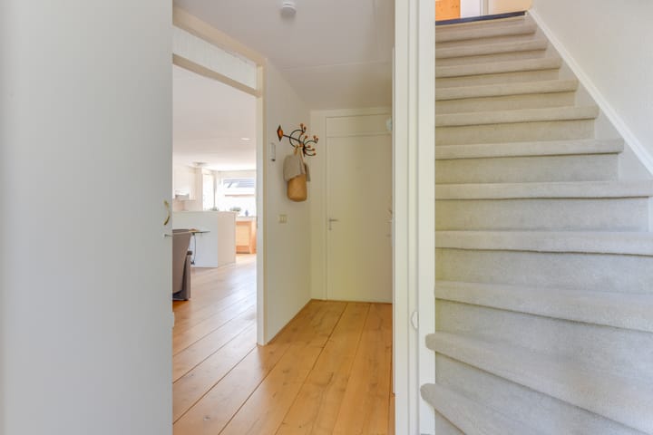 Foto 8 van Waterhoen 8