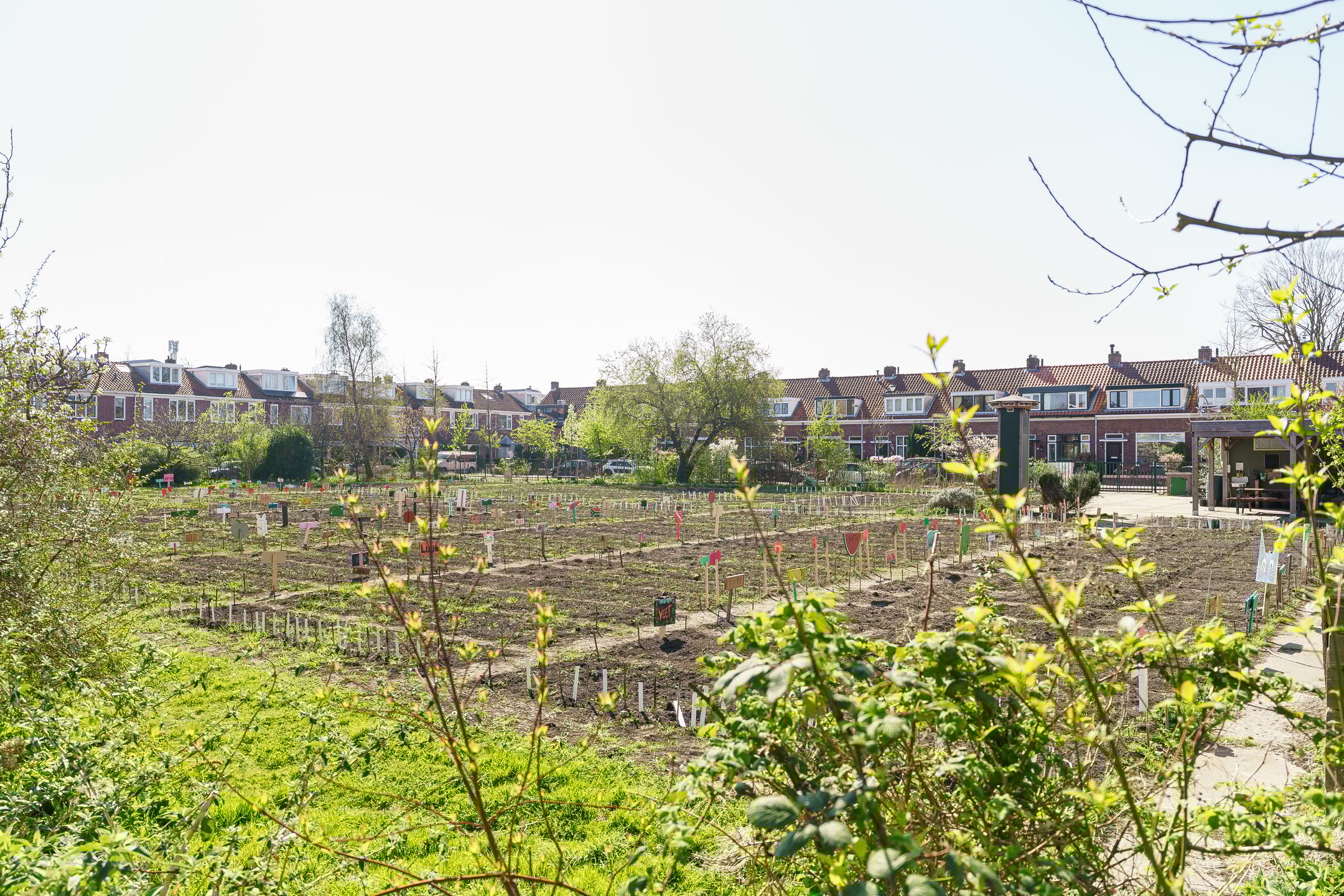 Foto 12 van Van Wassenaerstraat 15