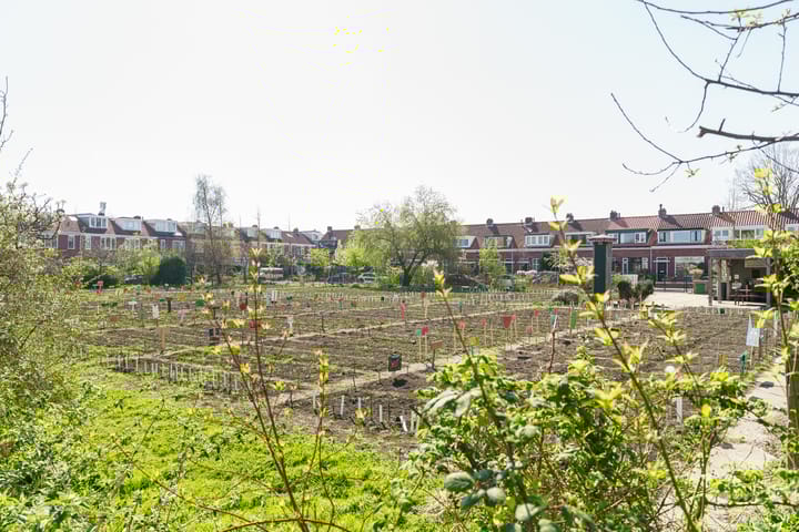 Photo 12 of Van Wassenaerstraat 15