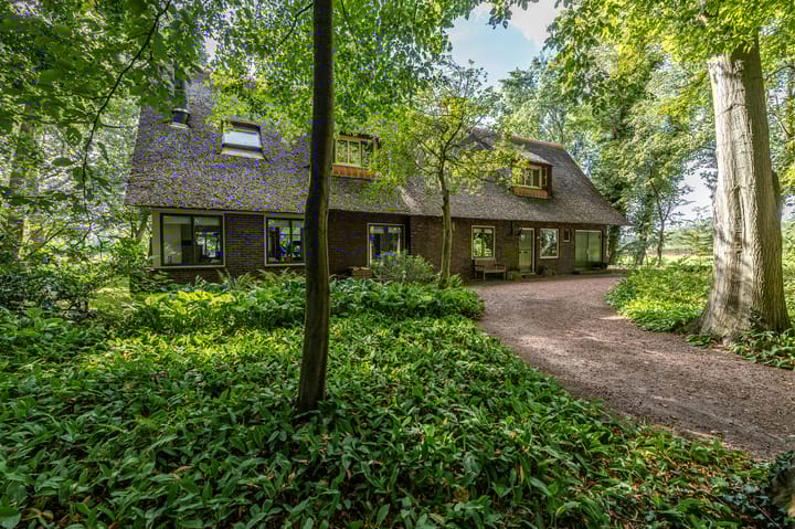 Foto 1 van Lutsborgsweg 71