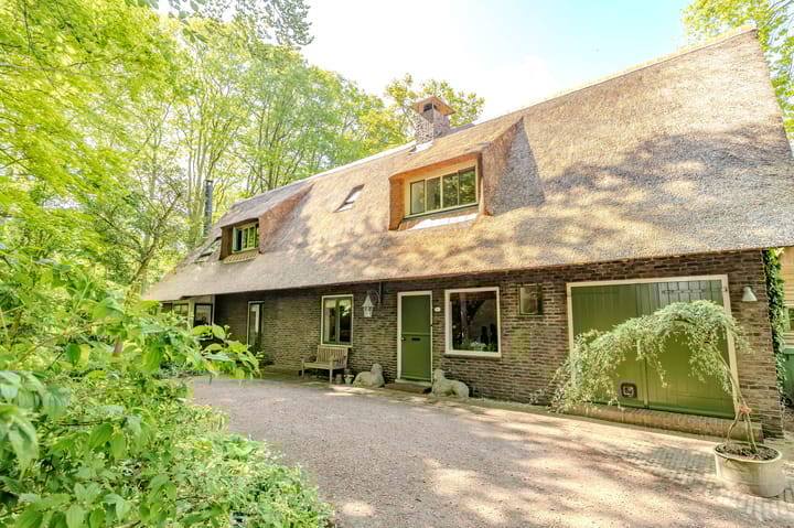 Foto 4 van Lutsborgsweg 71