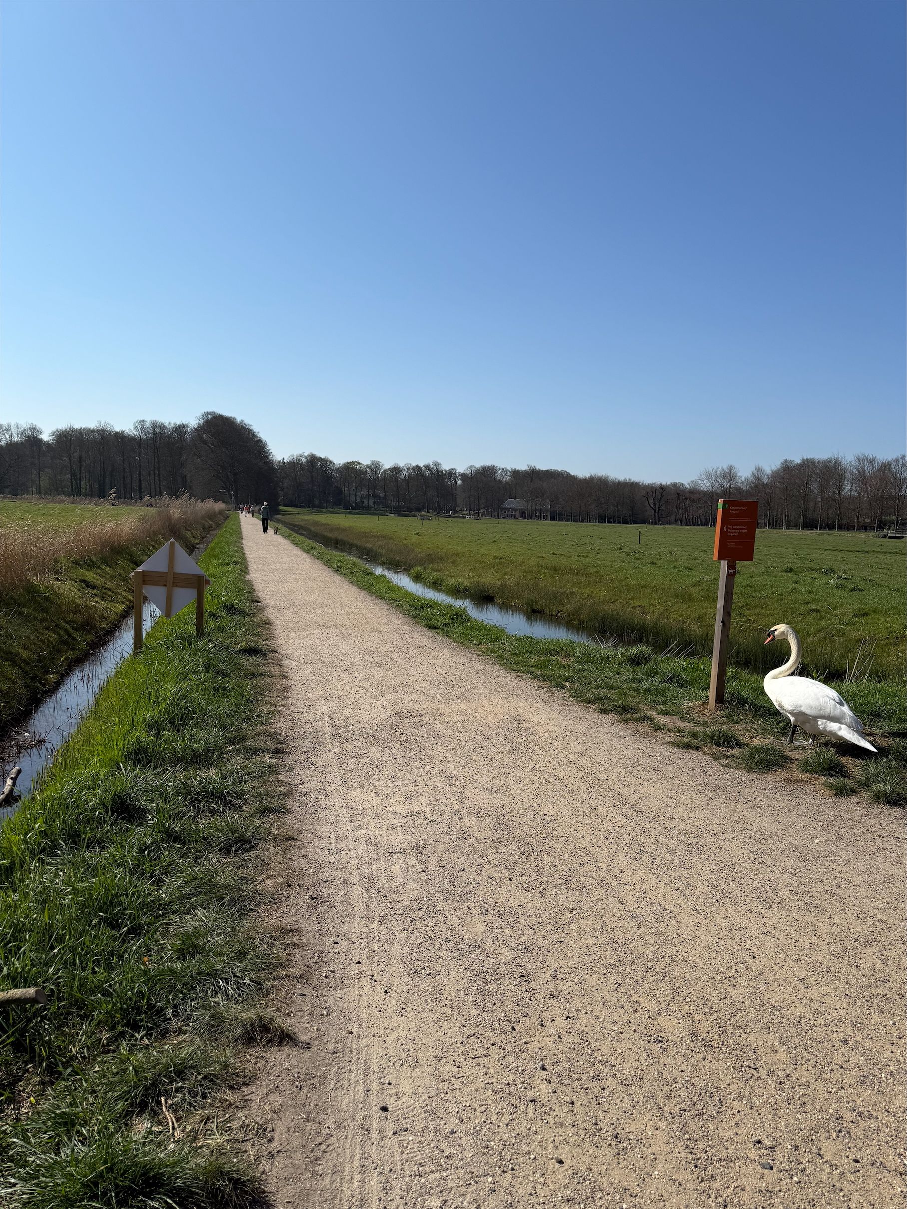 Foto 27 van Van Wassenaerstraat 15