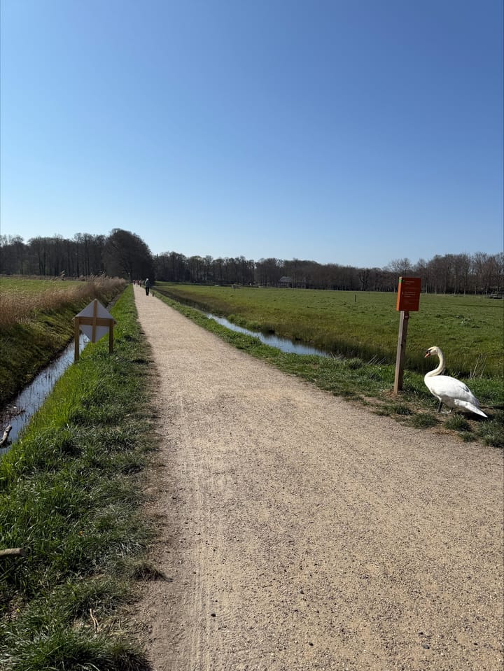 Photo 27 of Van Wassenaerstraat 15