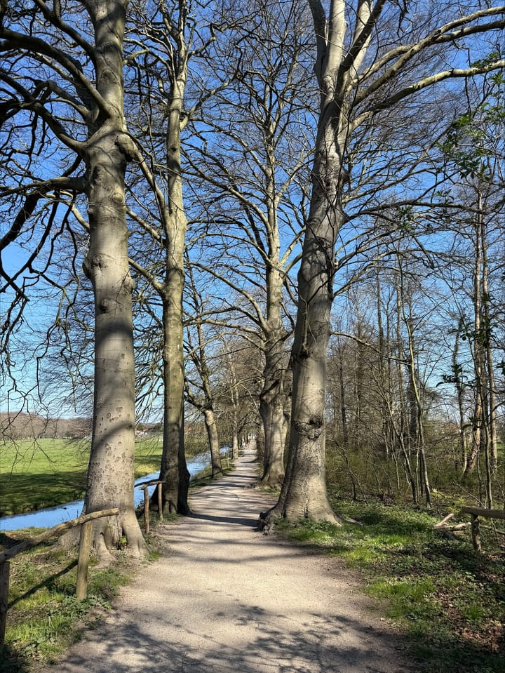 Photo 28 of Van Wassenaerstraat 15