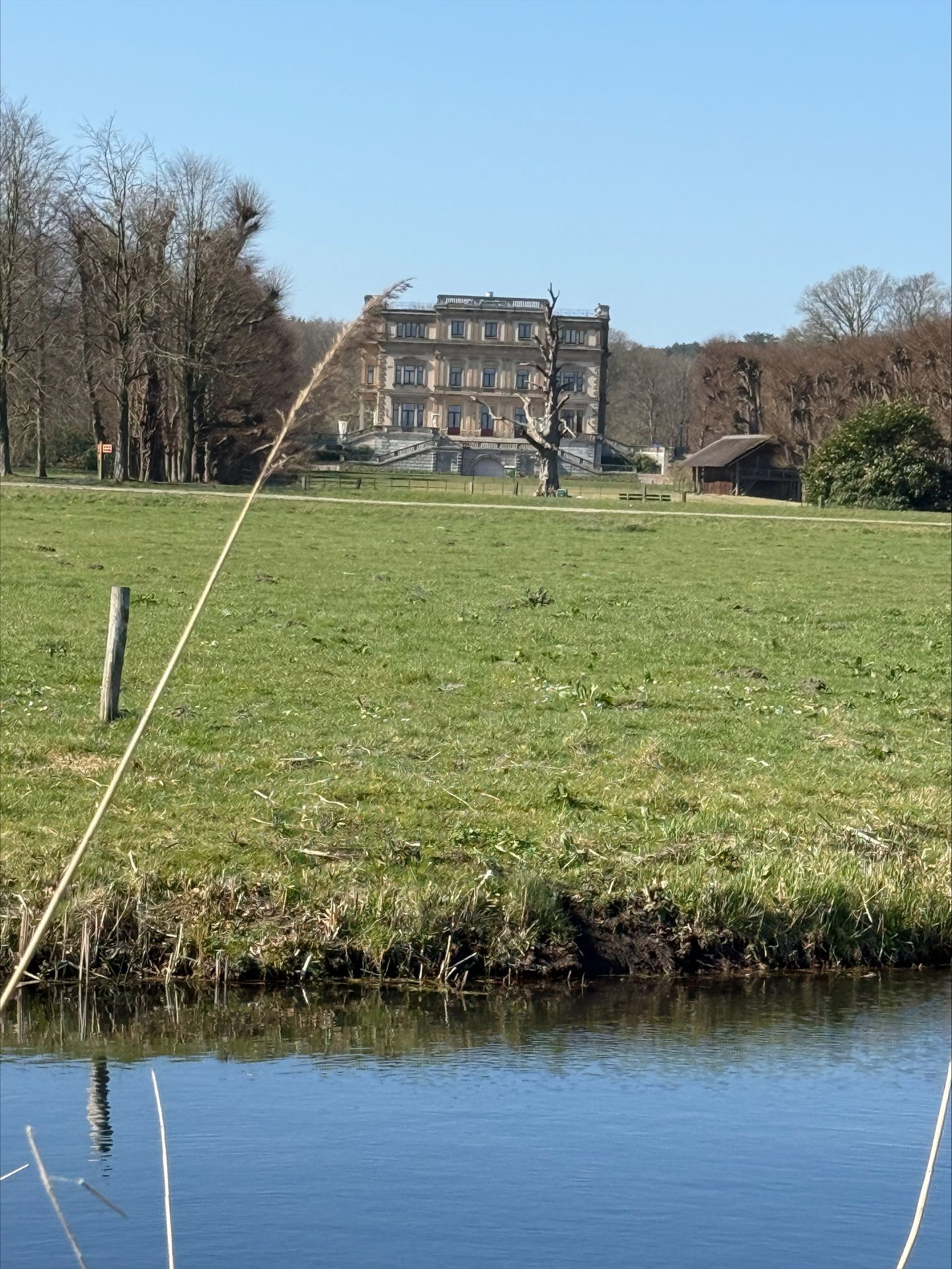 Foto 29 van Van Wassenaerstraat 15