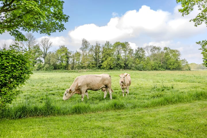 Foto 54 van Lutsborgsweg 71