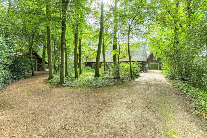 Foto 58 van Lutsborgsweg 71