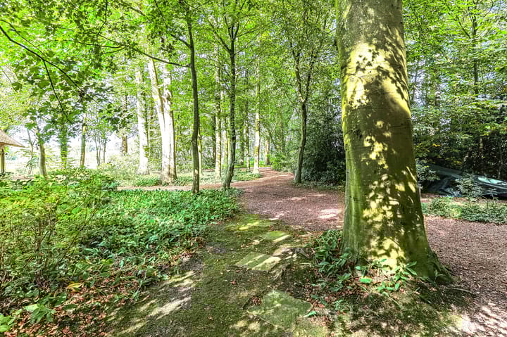 Foto 60 van Lutsborgsweg 71