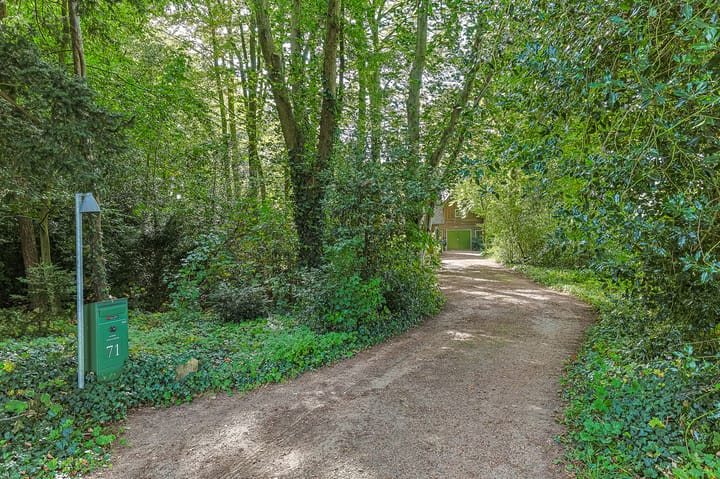 Foto 61 van Lutsborgsweg 71