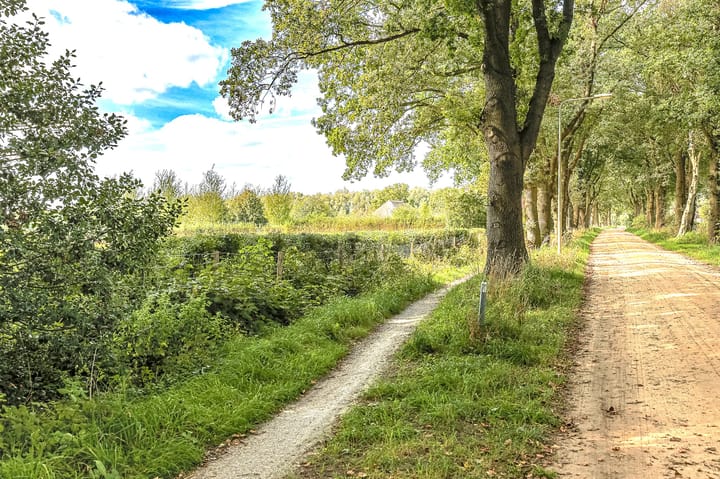 Foto 62 van Lutsborgsweg 71