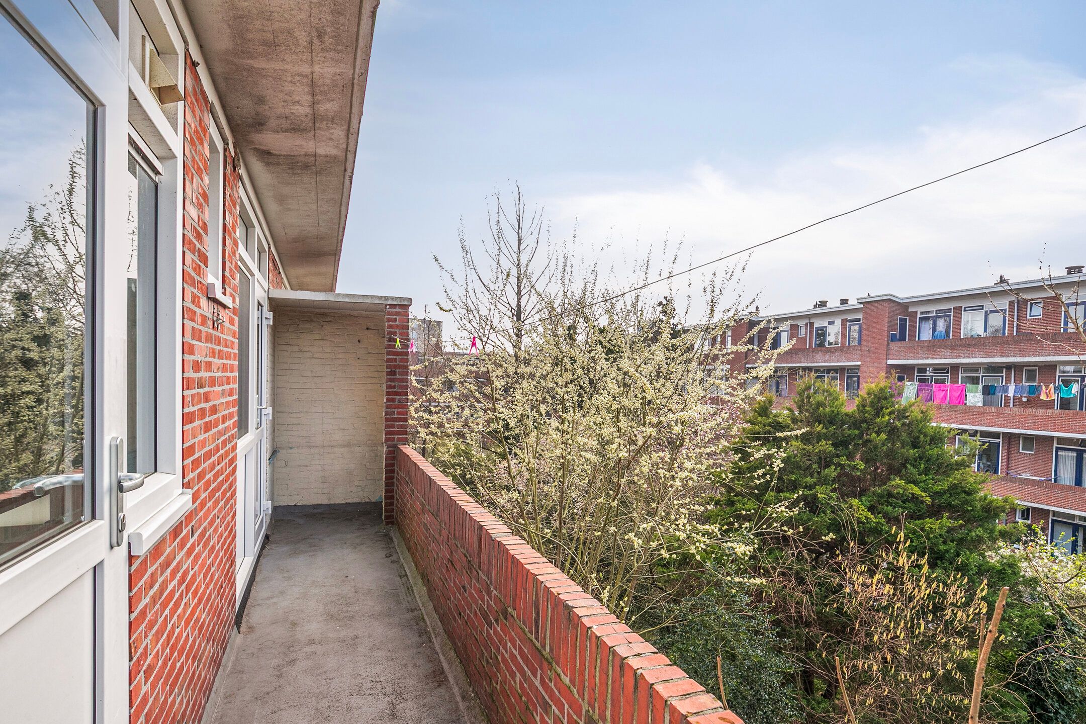 Foto 3 van Snelliusstraat 63