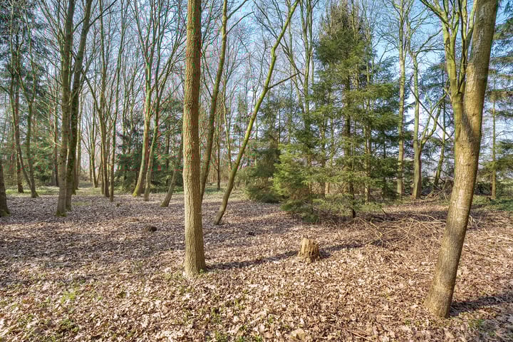 Foto 42 van Langewijk 2