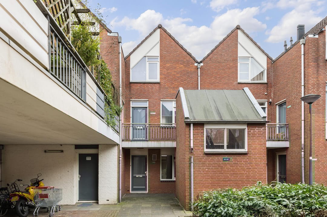 Foto 2 van Antilopespoor 243