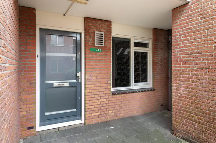 Foto 3 van Antilopespoor 243