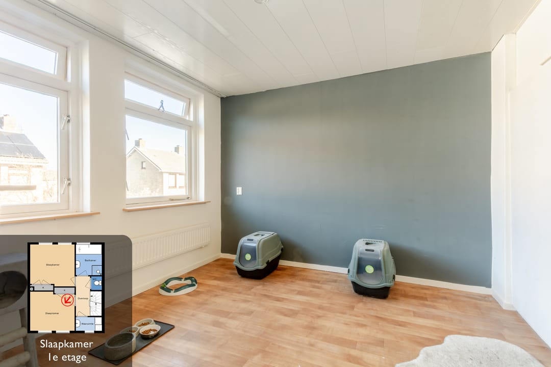 Foto 23 van Venusstraat 3