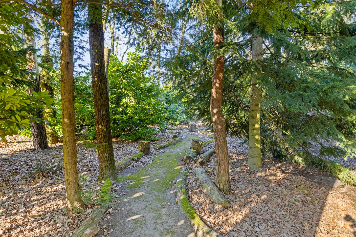 Foto 40 van Hugo Verrieststraat 65