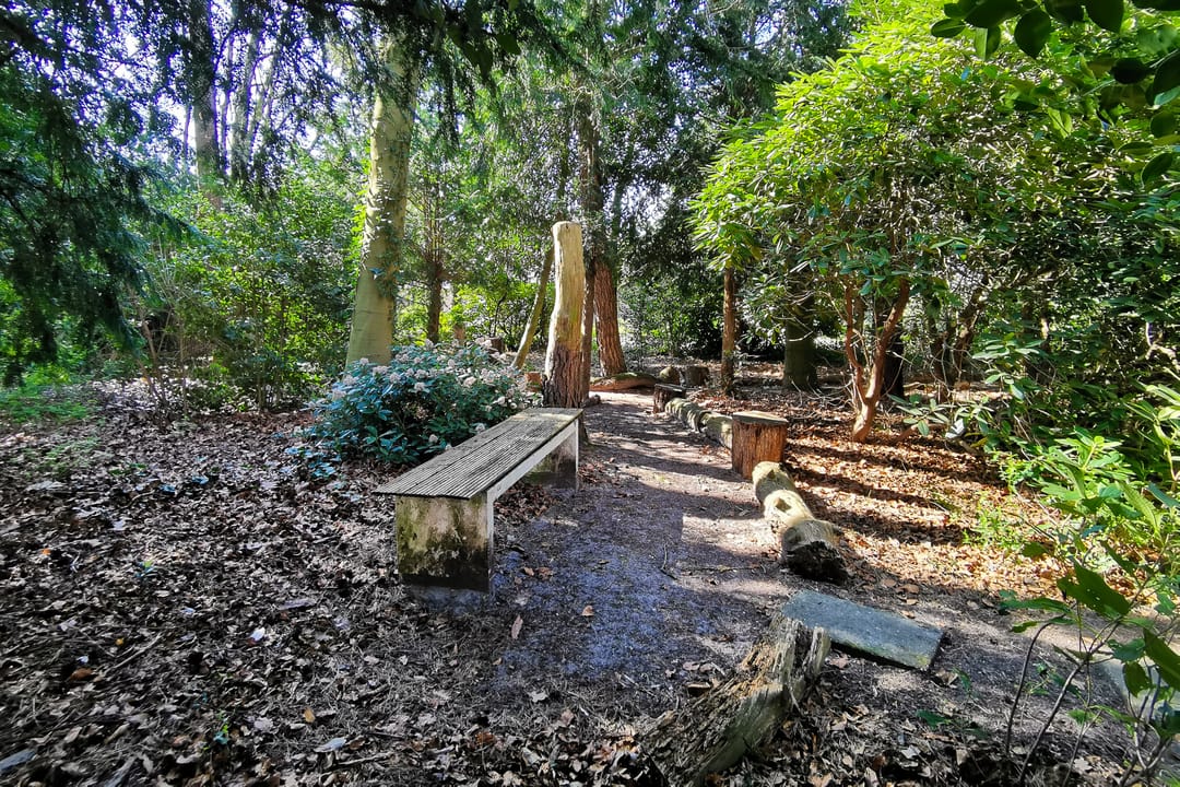 Foto 43 van Hugo Verrieststraat 65