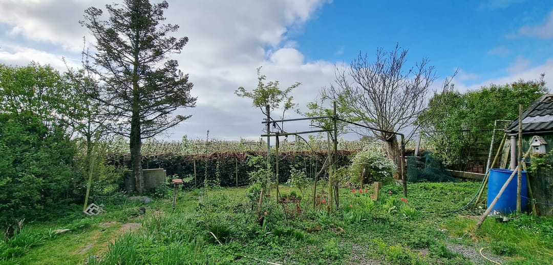 Foto 52 van Voorstraat 58