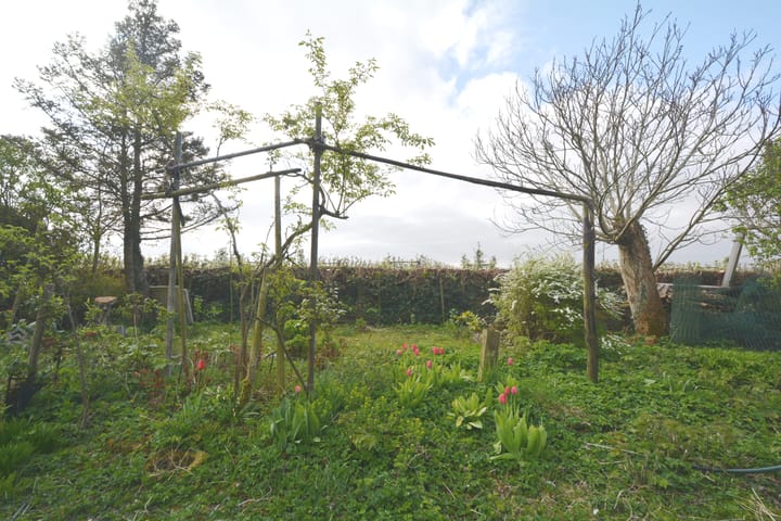 Foto 53 van Voorstraat 58