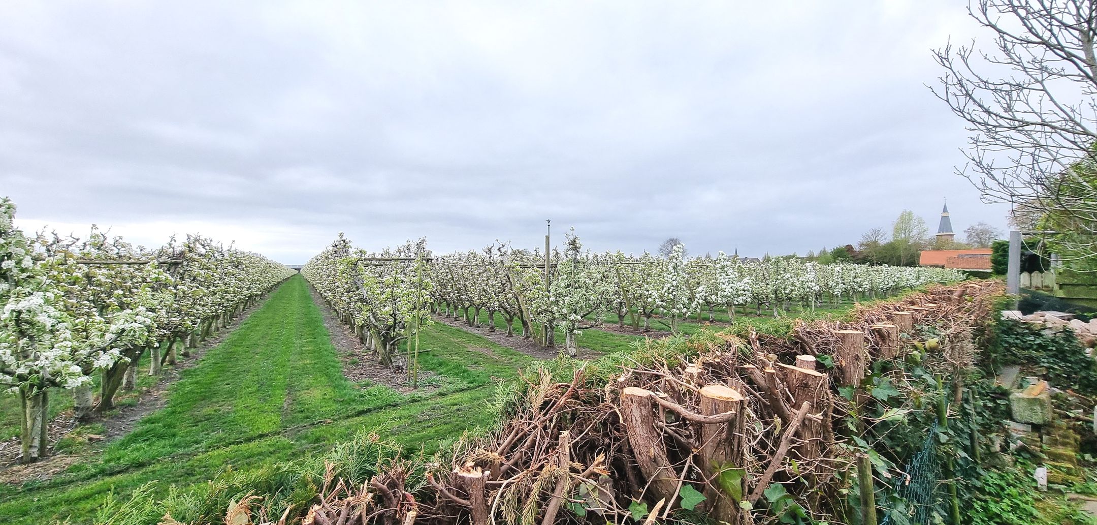 Foto 54 van Voorstraat 58