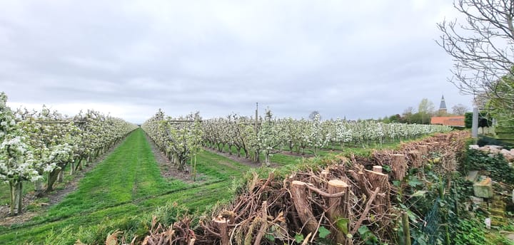 Foto 54 van Voorstraat 58