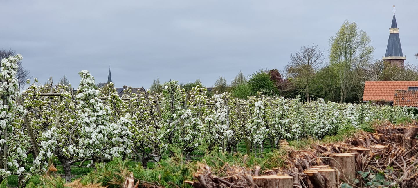 Foto 55 van Voorstraat 58