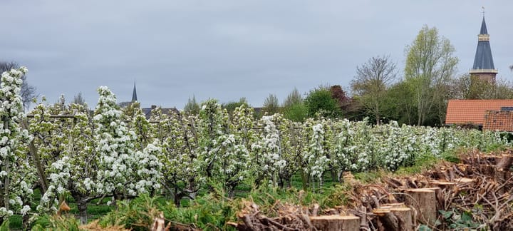 Foto 55 van Voorstraat 58