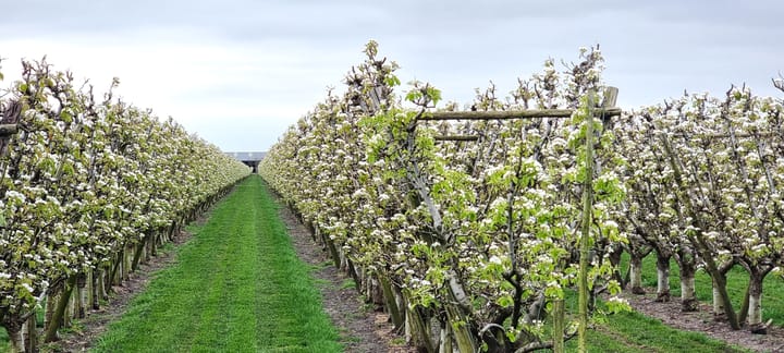 Foto 56 van Voorstraat 58