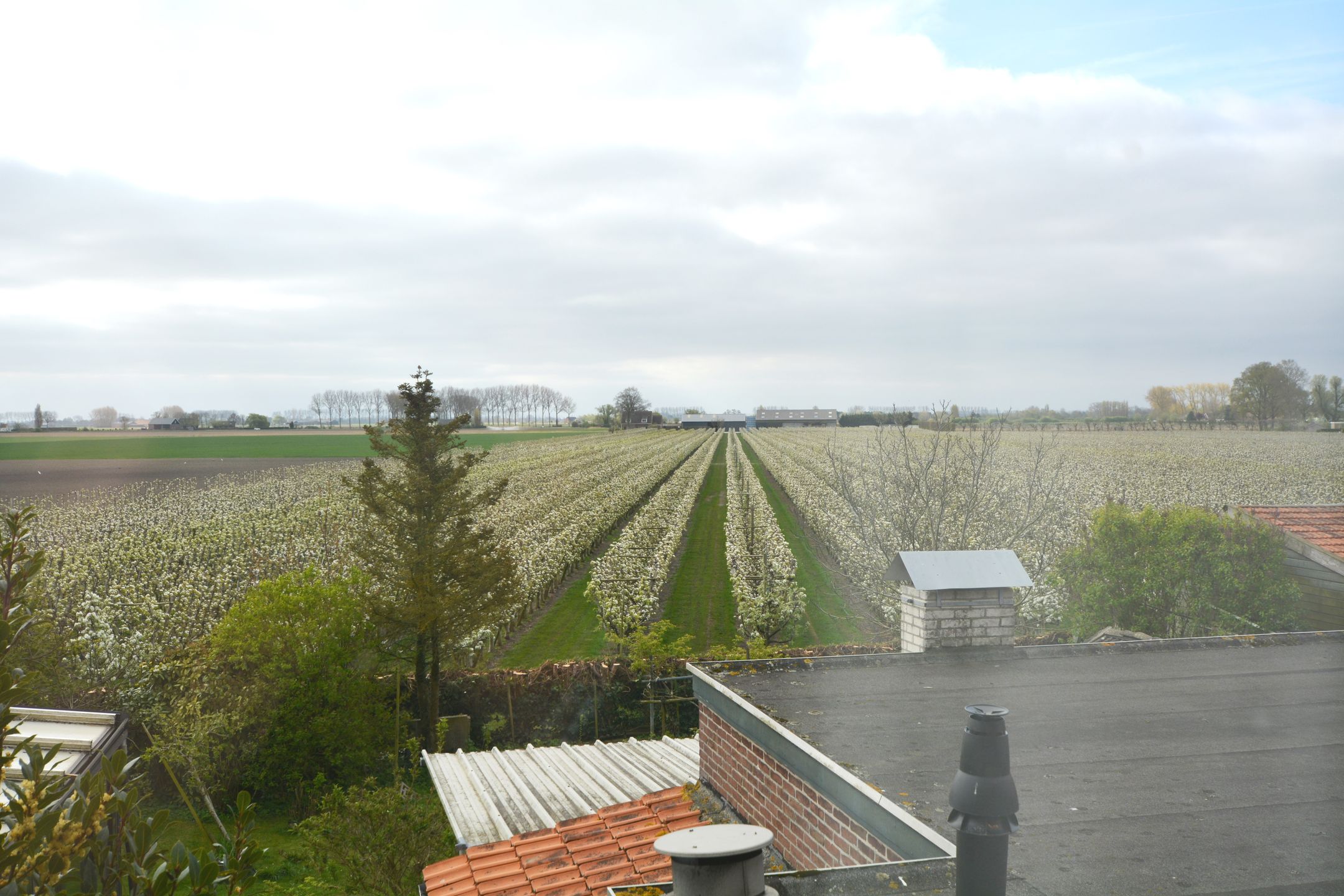 Foto 57 van Voorstraat 58