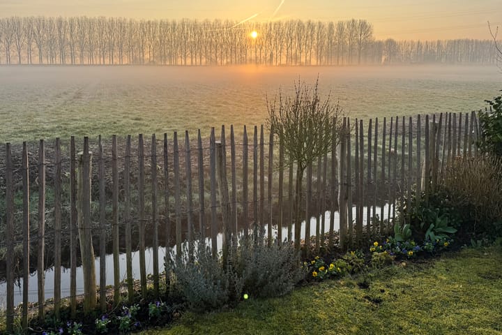 Foto 26 van Nesciolaantje 5