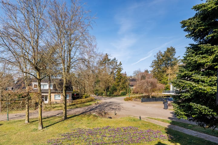 Foto 3 van Heiderand 1