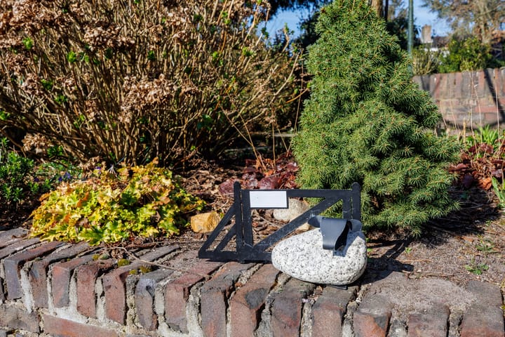 Foto 45 van Heiderand 1