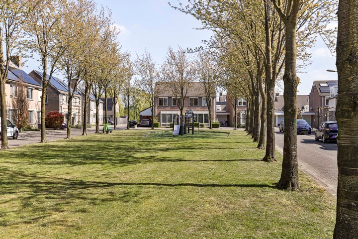 Foto 47 van Zalm 16